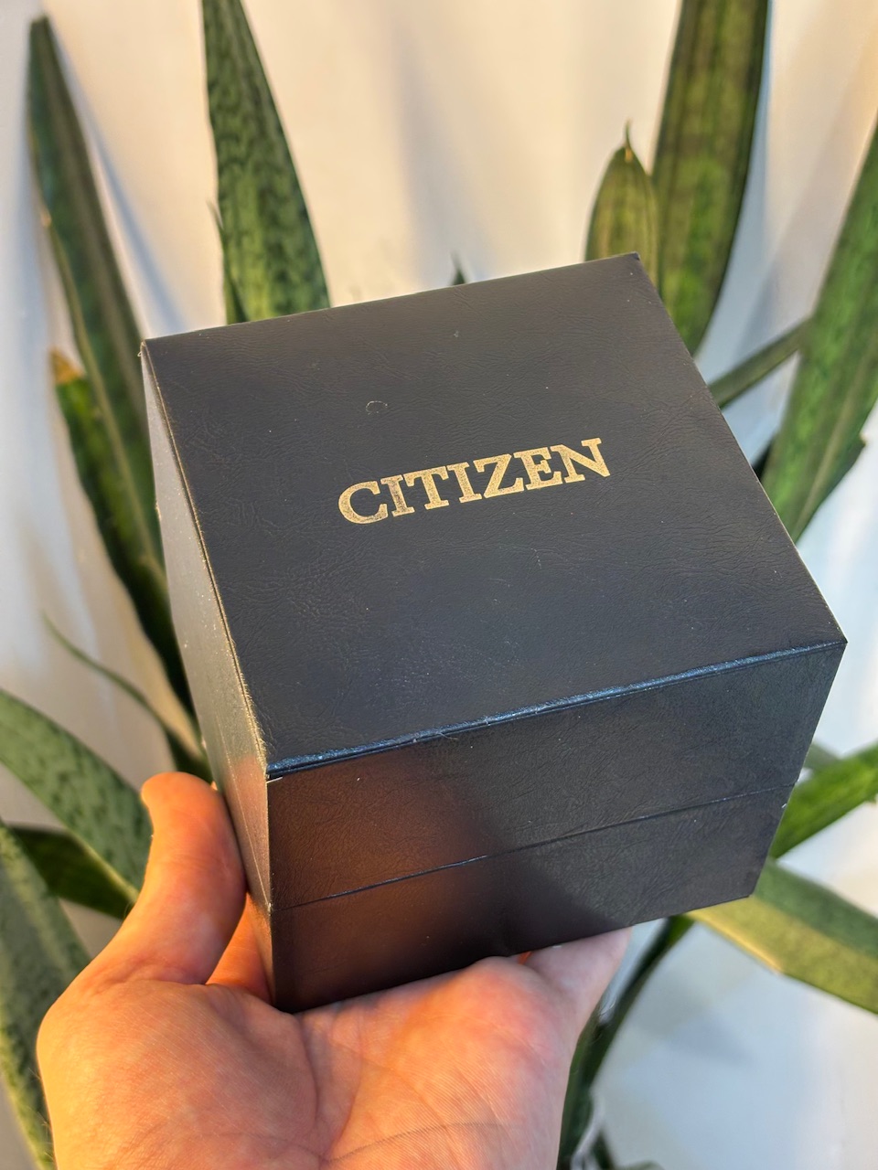 جعبه ساعت چرمی سیتیزن CITIZEN